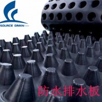 HDPE塑料排水板东营块状排水板工厂直销