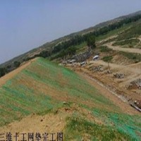 秦皇岛三维植被网植草护坡 护坡固土三维复合土工网