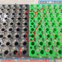 河南新密市 种植地下室工程排水板 20厚凹凸型排水板屋面绿化