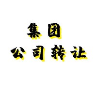 全新集团公司转让带子公司一起转让