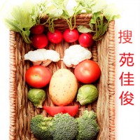 审批北京食品流通食品经营的时间