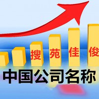 注册中国开头的公司名称