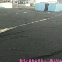 HDPE河南平顶山阻根黑色卷材排水板 车库顶板加强型蓄排水板