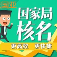 代办国家局疑难名称核名