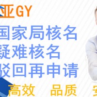 代办去掉省市区划核名公司
