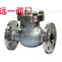 不锈钢低温止回阀DH44W-16P/R/RL