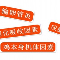 畸形蛋越来越多，养殖户怎么做才能杜绝畸形蛋，保证养殖收益？