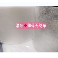 福建厂家供应功能型无纺布 清凉薄荷无纺布 口罩布