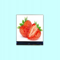 1.4寸方屏IPS全视角TFT液晶屏240*240分辨率