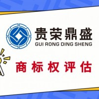 漳州市专利商标实缴评估股权价值评估知识产权评估