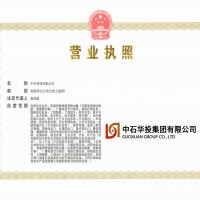 注册中字头控股公司工商总局核名登记的要求