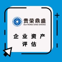 浙江省宁波市资产置换剥离评估企业并购收购评估投资入股评估