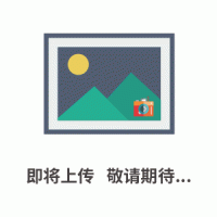 上海二次热脱附