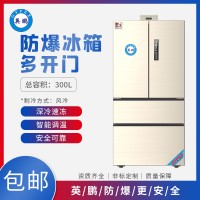 英鹏BL-300M4广西涂料厂多开门防爆冰箱