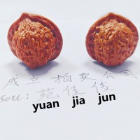 办理北京拍卖经营许可证的流程步骤