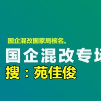 国企央企混改操作流程收费标准