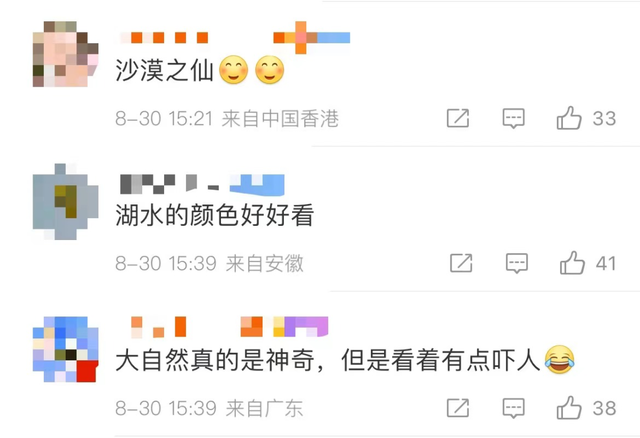 柴犬的狐狸脸和狸猫脸_沙漠雨后现狐狸脸_女主是狐狸的现言小说