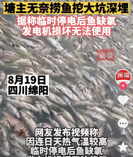四川达州持续高温后突降暴雨_陕西临潼突降暴雨_沈阳突降暴雨