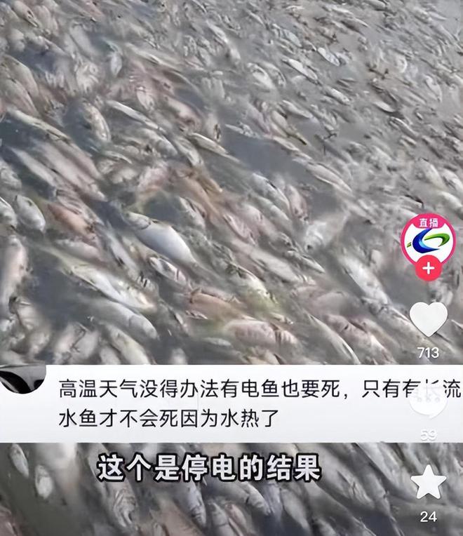 陕西临潼突降暴雨_四川达州持续高温后突降暴雨_沈阳突降暴雨