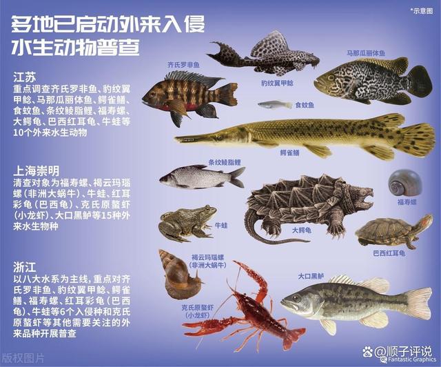 伞型地笼鱼网捕不到鱼_多地报告“怪鱼”肆虐 什么在作怪_坦克鸭嘴鱼河中巨怪