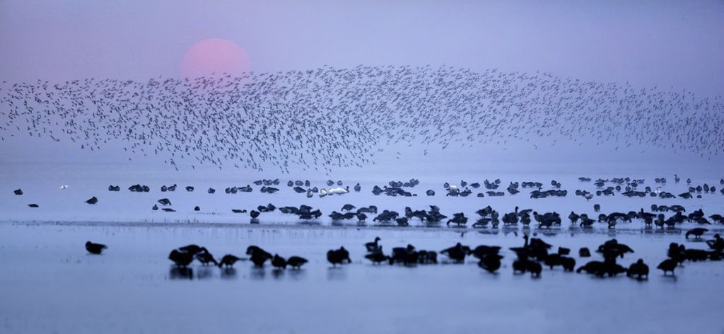 深坑酒店露真容_干吧 爹 by一糖枯水_鄱阳湖枯水见底 明代石桥露“真容”