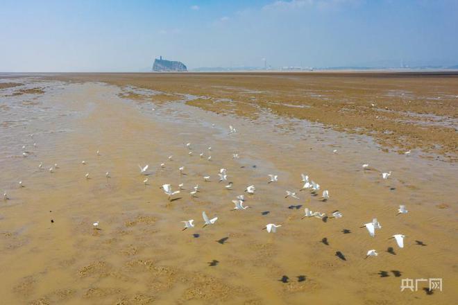 干吧 爹 by一糖枯水_深坑酒店露真容_鄱阳湖枯水见底 明代石桥露“真容”