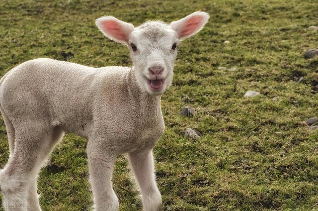 二舅视频作者再发声_舅情如火舅情如火bl_舅爱新欢作者温特森