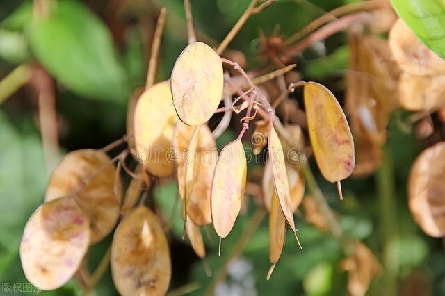 二舅视频作者再发声_舅爱新欢作者温特森_舅情如火舅情如火bl