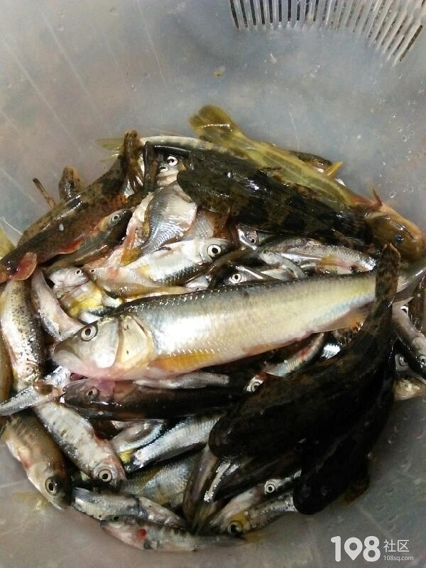 多抓鱼75元回收的衣服629元售卖_梦到好多鱼抓都抓不完_梦见自己脚被鱼咬鱼被自己抓到了