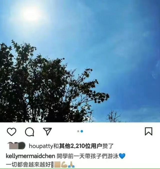 林志颖娶陈若仪内幕_陈若仪透露儿子车祸后第一句话_陈若仪资料