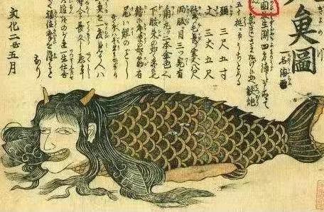 美人鱼原型灭绝_美人鱼电影里的美人鱼图片_方舟灭绝dlc和灭绝mod