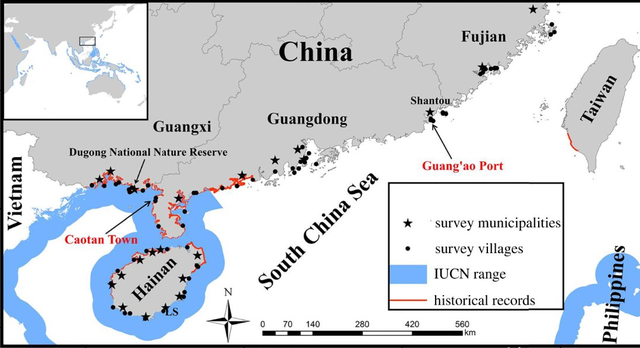 美人鱼郑总原型_方舟灭绝dlc和灭绝mod_美人鱼原型灭绝