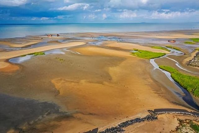 美人鱼郑总原型_美人鱼原型灭绝_方舟灭绝dlc和灭绝mod