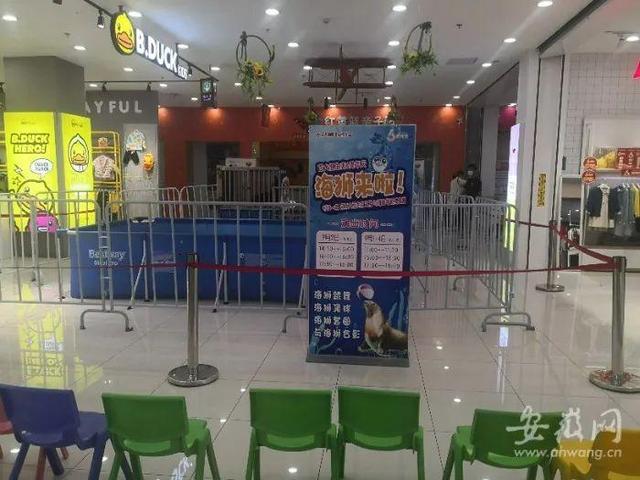 海狮商场表演时出走顾客尖叫逃离_海狮表演_厦门海底世界海狮表演