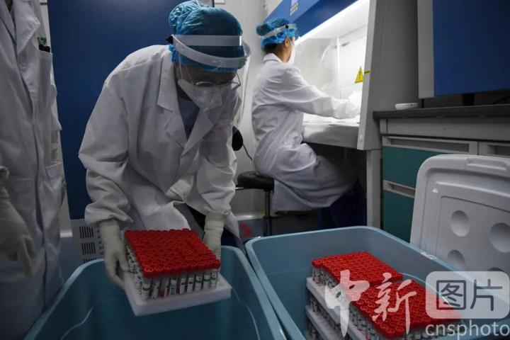 海南东方市的建材市场在哪里_海南东方凌晨核酸_海南东方左岸时光