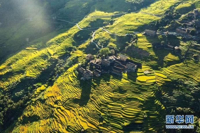 多地现1支新冠疫苗打2人？官方回应_校招投简历没有回应_公司回应只招清朝人