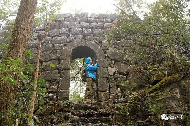 多地现1支新冠疫苗打2人？官方回应_公司回应只招清朝人_校招投简历没有回应