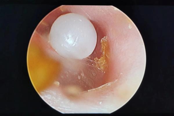 小伙当街下跪挽留女友_老人当街给多名学生下跪 教育局通报_江苏师大通报22名学生患肺结核