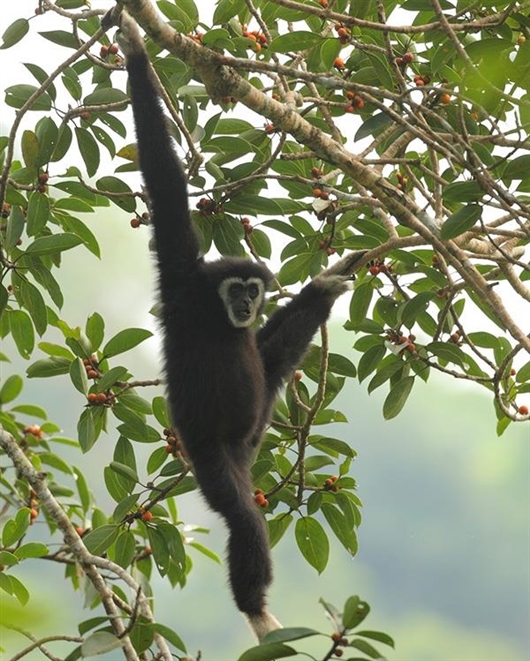 小伙当街下跪挽留女友_江苏师大通报22名学生患肺结核_老人当街给多名学生下跪 教育局通报