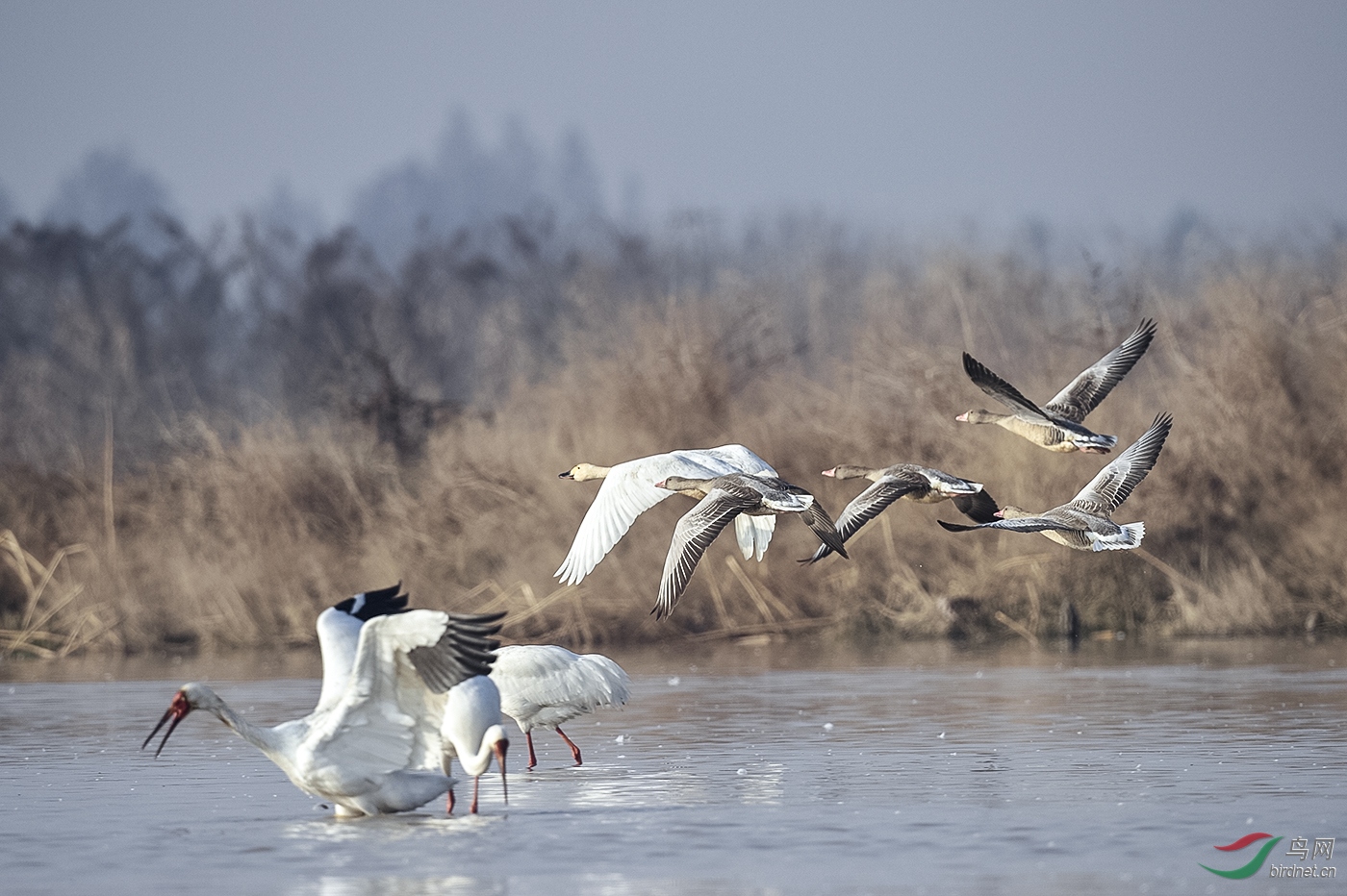 男女侧位进入_win7 64位进入安全模式_鄱阳湖正式进入极枯水位