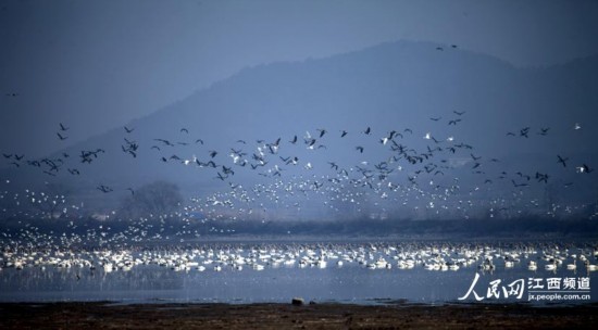 鄱阳湖湿地生态何解_鄱阳湖湿地风光_鄱阳湖生态经济区规划图