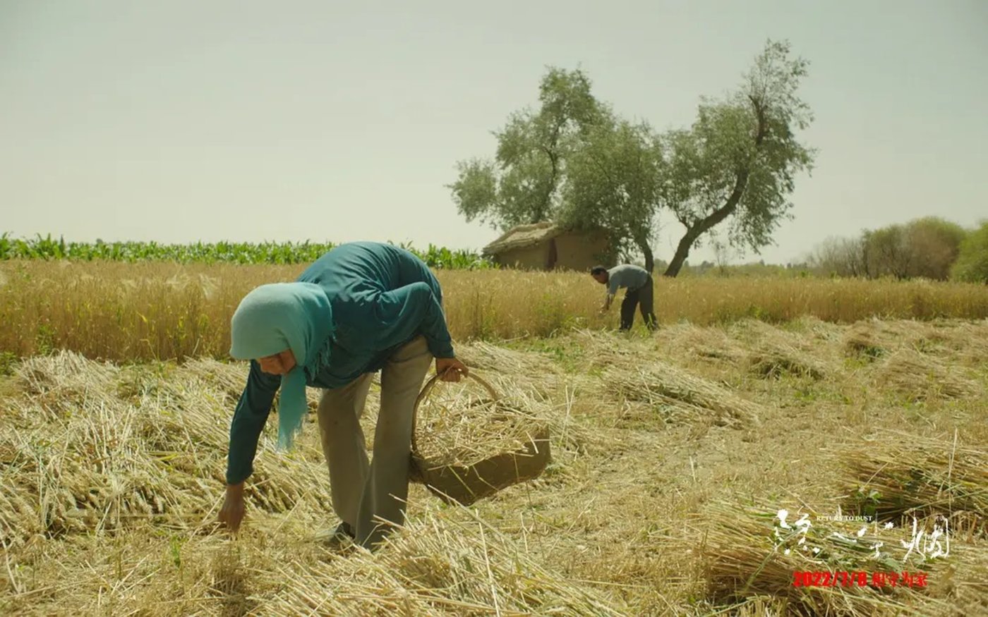 《隐入尘烟》的票房奇迹说明了什么_入袂轻风不破尘_浣溪沙入袂轻风不破尘