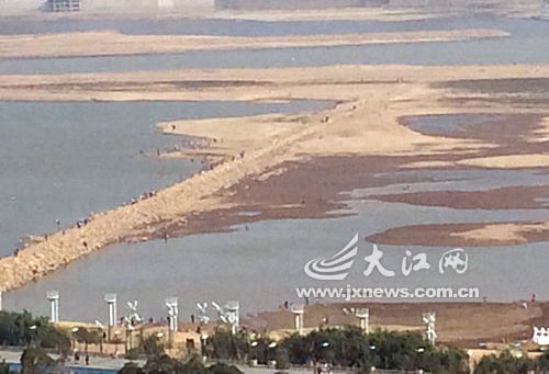 鄱阳湖生态湿地_九江鄱阳湖湿地_鄱阳湖湿地生态何解