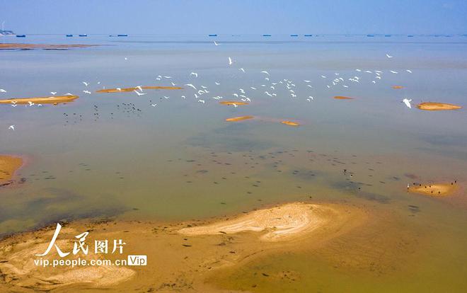 九江鄱阳湖湿地_鄱阳湖湿地生态何解_鄱阳湖生态湿地