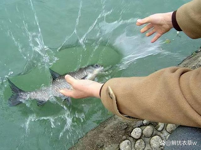 大爷和大妈打野图片_大爷疯狂追求大妈_大爷大妈河边“放生矿泉水”