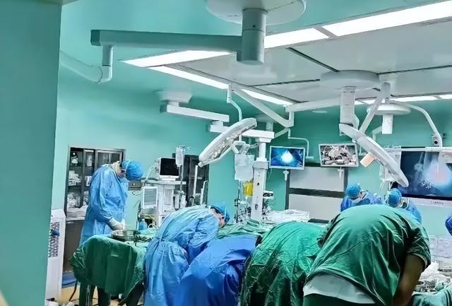 高中生患病离世 捐器官救治5人_18岁女生离世 捐器官让5人获新生_离世捐器官