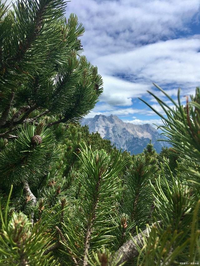 安徽潜山一两烟头可换一斤鸡蛋_安徽潜山天柱剑毫贵吗_2015安徽省考潜山公务员职位表