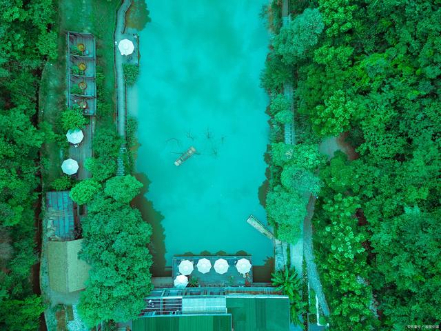 2015安徽省考潜山公务员职位表_安徽潜山一两烟头可换一斤鸡蛋_安徽潜山天柱剑毫贵吗