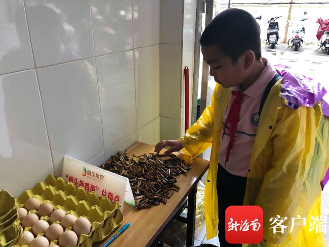 安徽潜山一两烟头可换一斤鸡蛋_2015安徽省考潜山公务员职位表_安徽潜山天柱剑毫贵吗