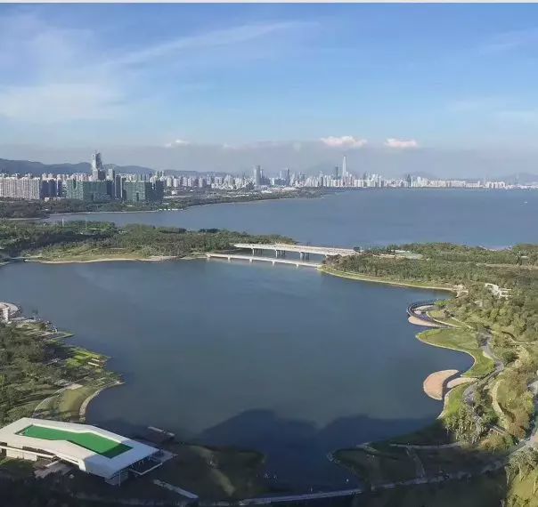 我在深圳卖豪宅：比小房子好卖_遂平哪小区的房子好_平度哪个小区的房子好